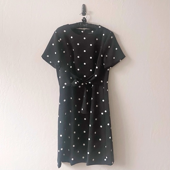 Dresses & Skirts - Ann Taylor Polkadot dress